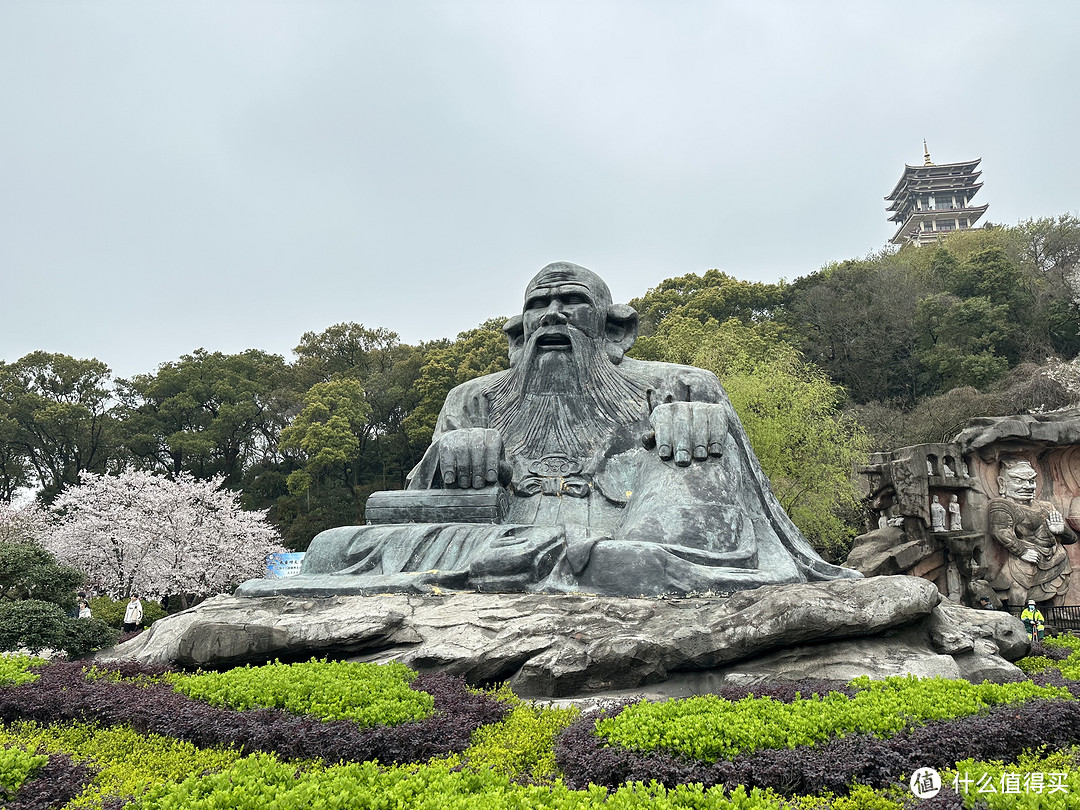 樱花季——武汉南京无锡平坝