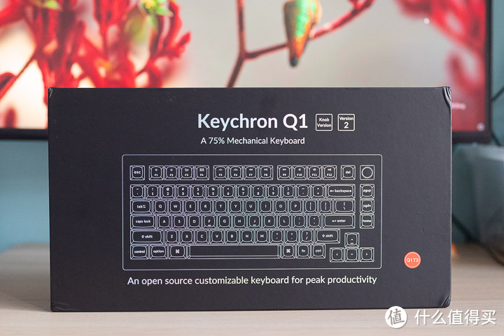 如何打造你的专属键盘，客制化键盘最优解？Keychron Q1入手体验