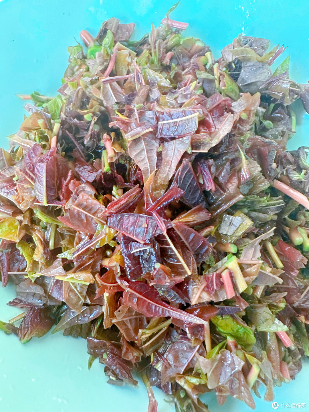 春天里的美味-香椿炒鸡蛋