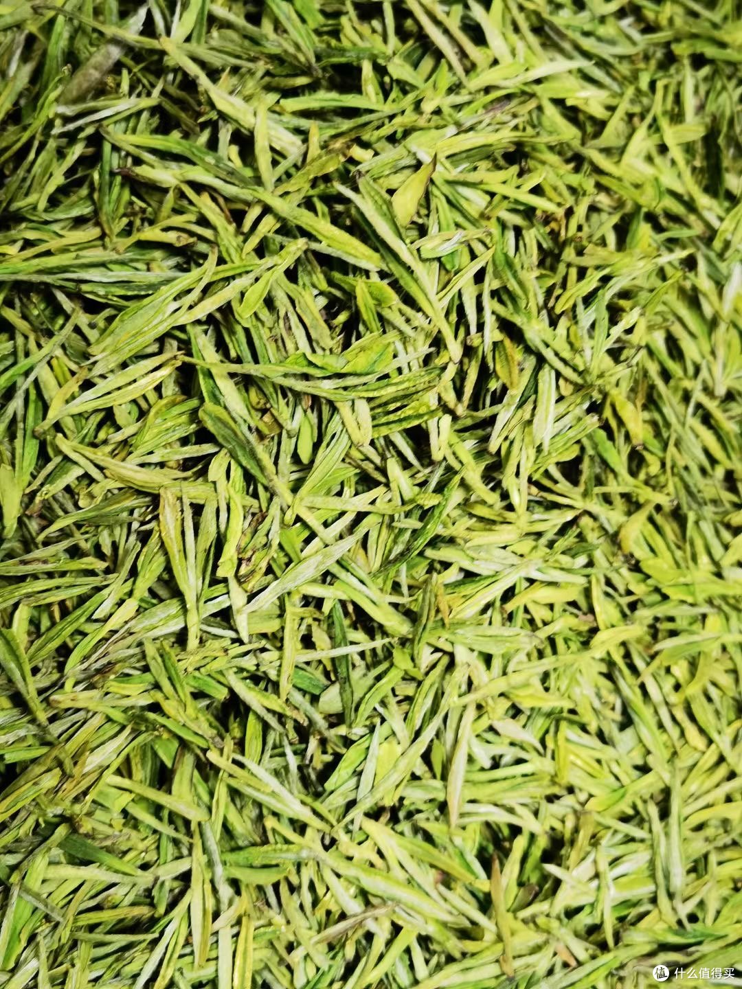 用一杯茶感受春天的味道!