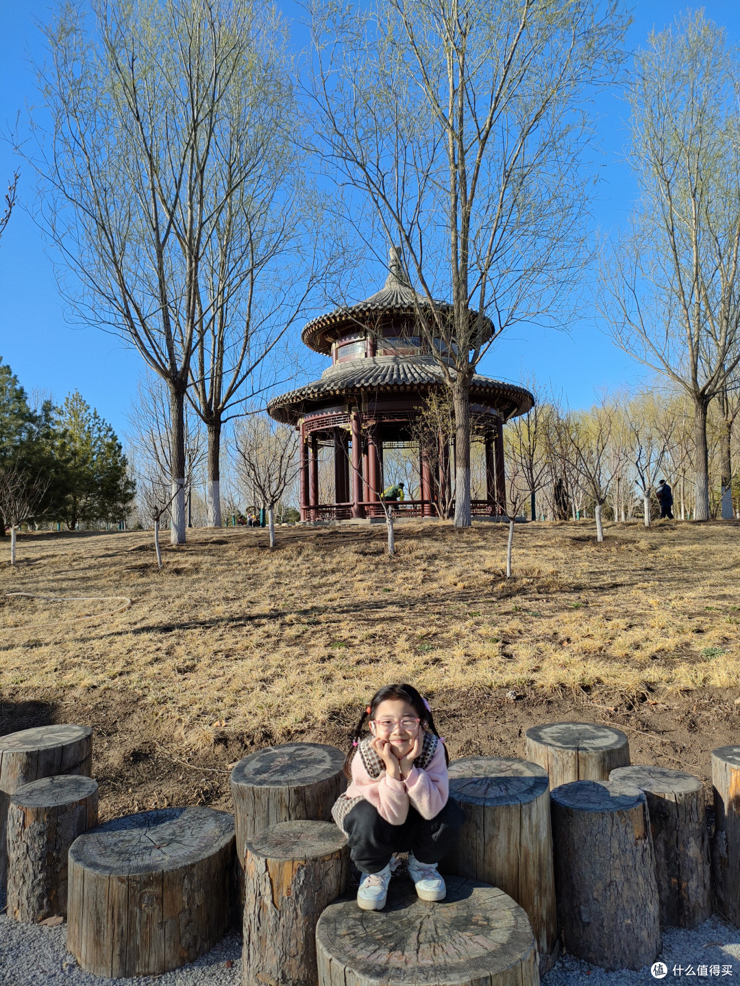 市区里的森林公园–城市绿心森林公园