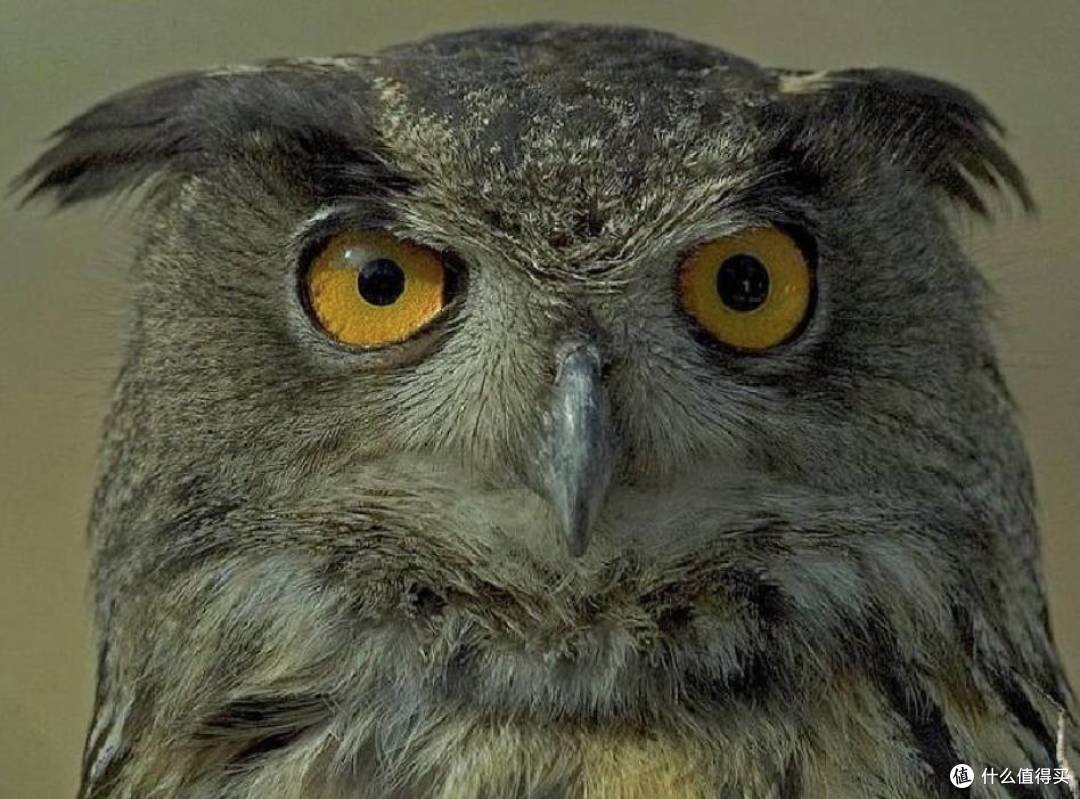 你看这块表外形像什么?