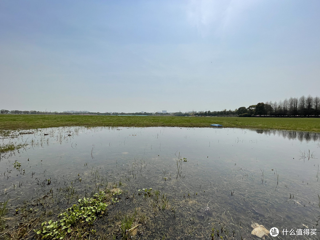 选了个阳澄湖边的开阔地，绿植、蓝天、水潭=好地方。