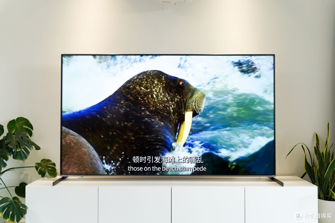 画质zui能打超大屏!千级MiniLED、ULED X、多声道空间声场,海信电视85E8K安装与观看分享