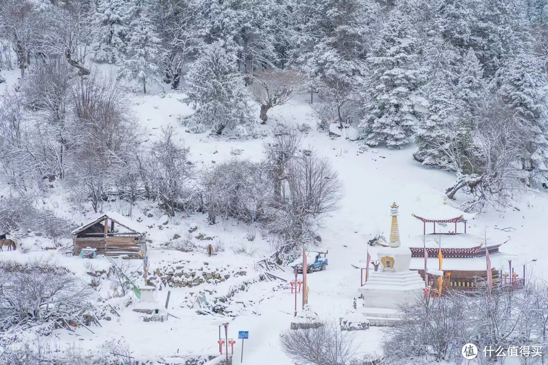 路上的雪景