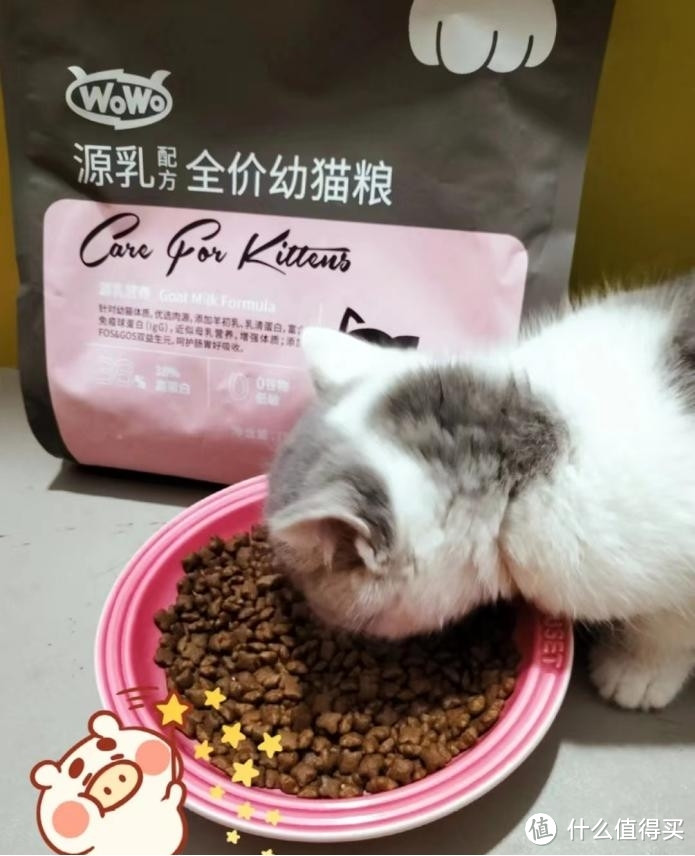 幼猫就吃专用粮，细心呵护猫咪就选WoWo猫粮