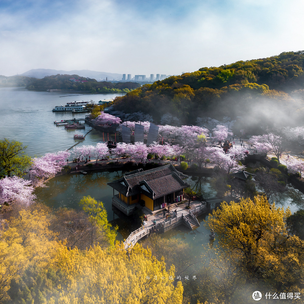 一镜到底，盛花期的鼋头渚，无愧于三大赏樱地的称号