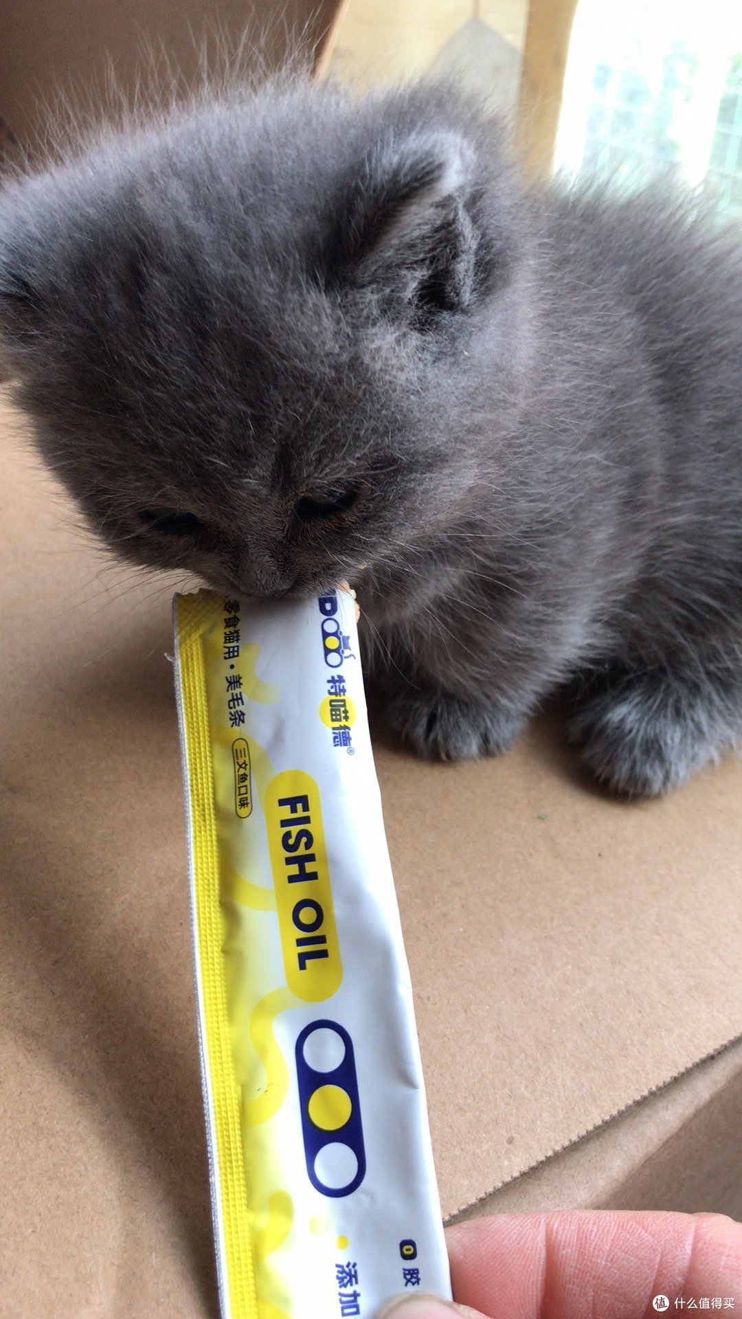 特喵德猫条界的天花板~  谁家小猫咪还没吃上呢？