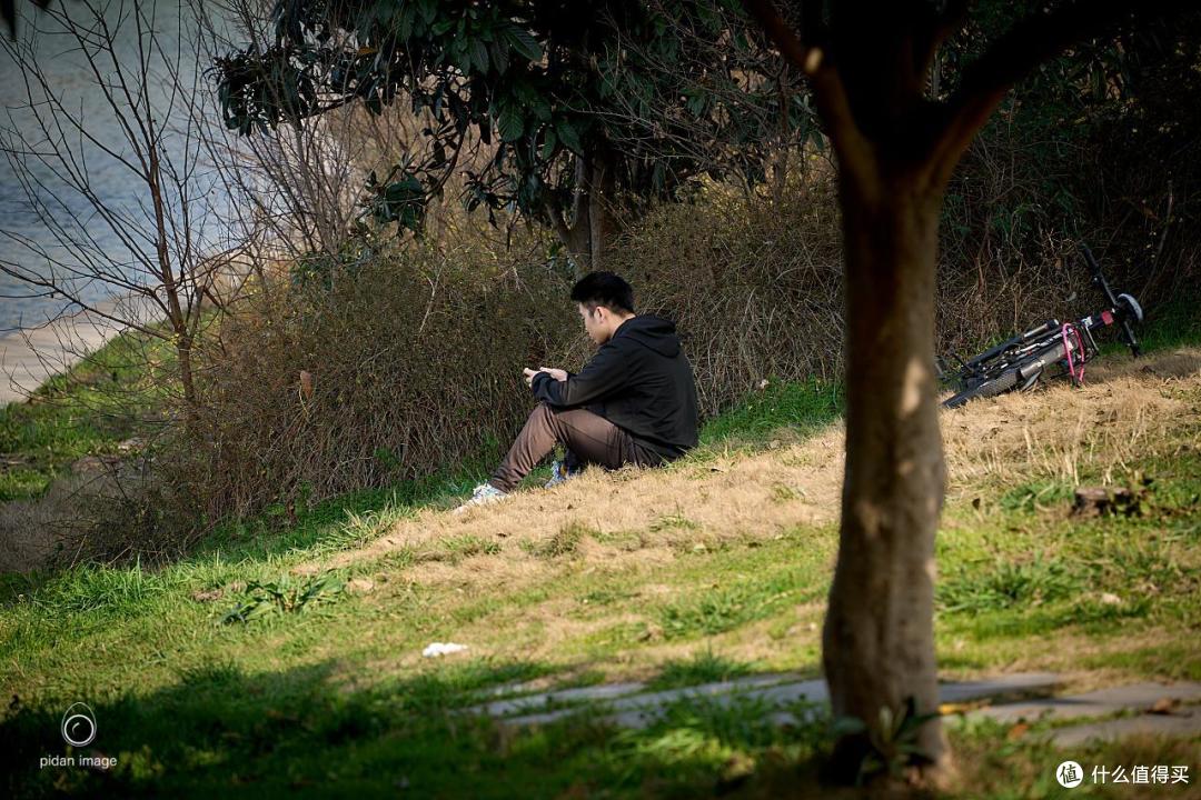 没有迎春花的点缀，背景显得乏味。