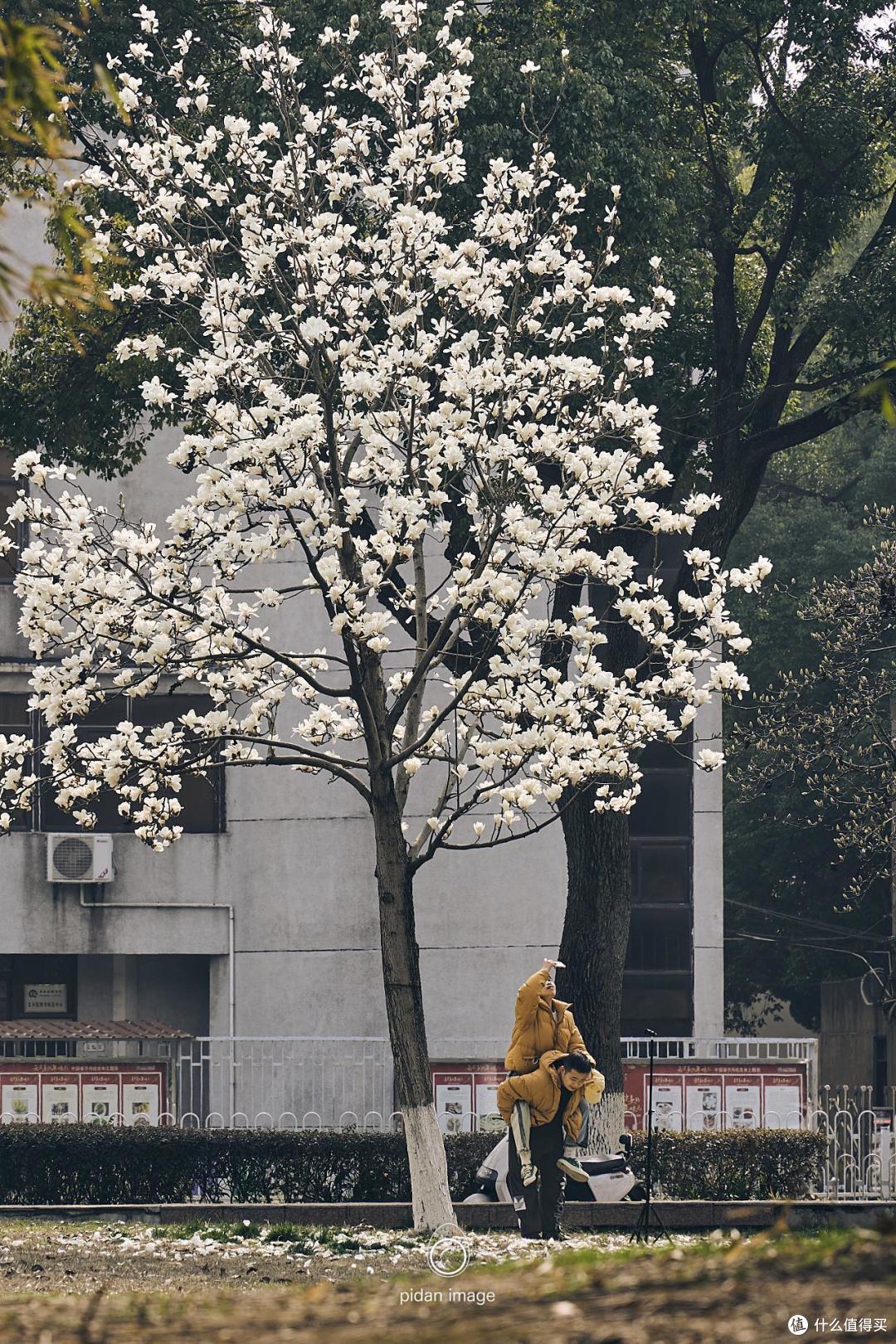拍花的情侣（抓拍，简单调色）