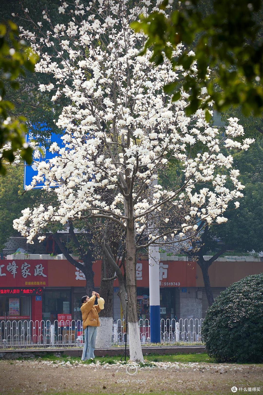 常规拍花姿势（反面示例）