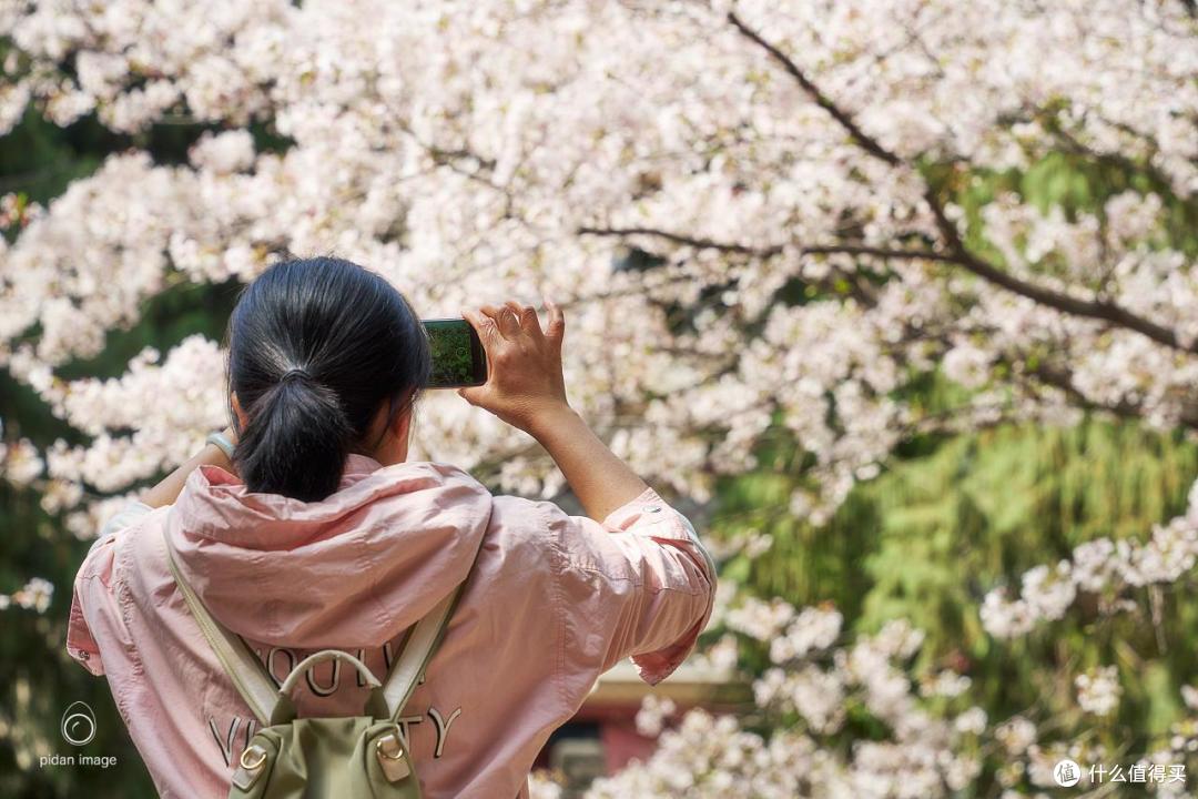 美丽的手（请放大观看）