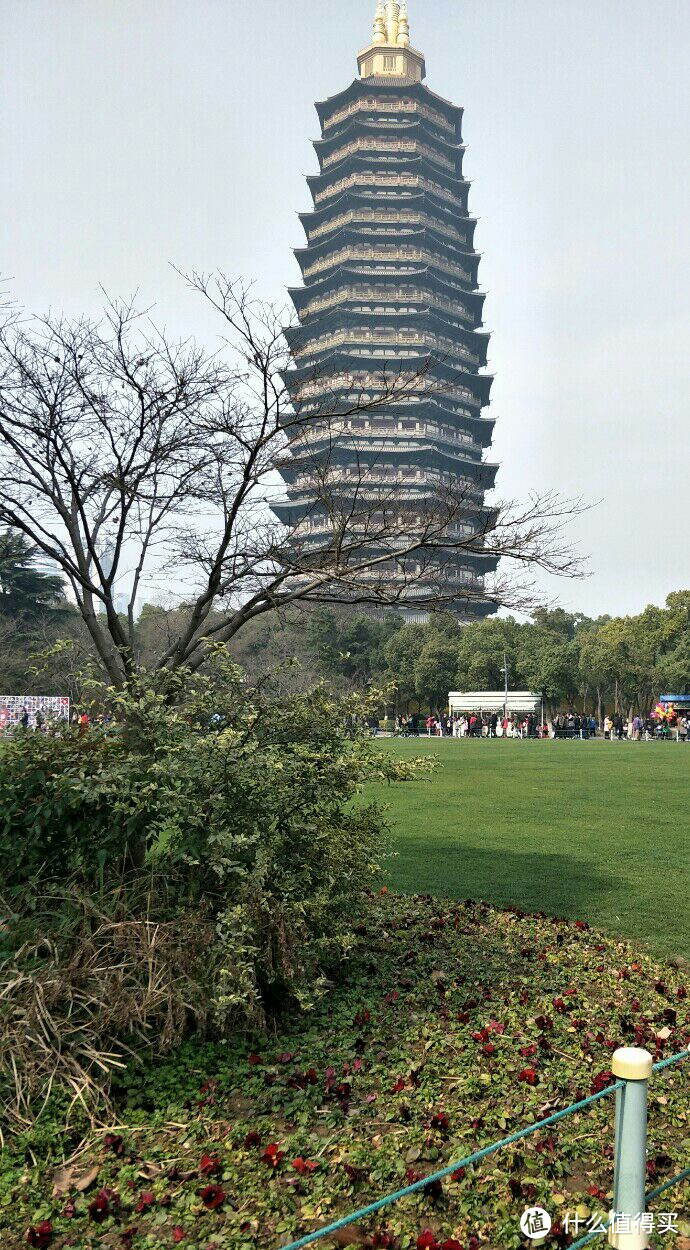 正是江南好风景，开花时节又逢君——记常州之行