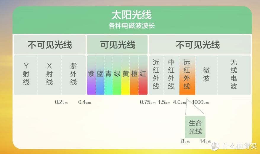 苏泊尔远红外电饭煲怎么样？真实测评了解一下