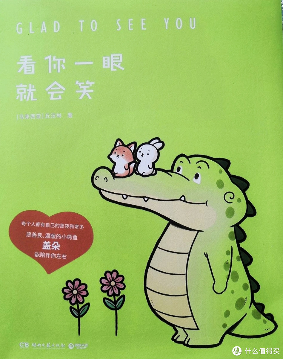 愿善良温暖常伴你左右的小鳄鱼带给你治愈欢笑