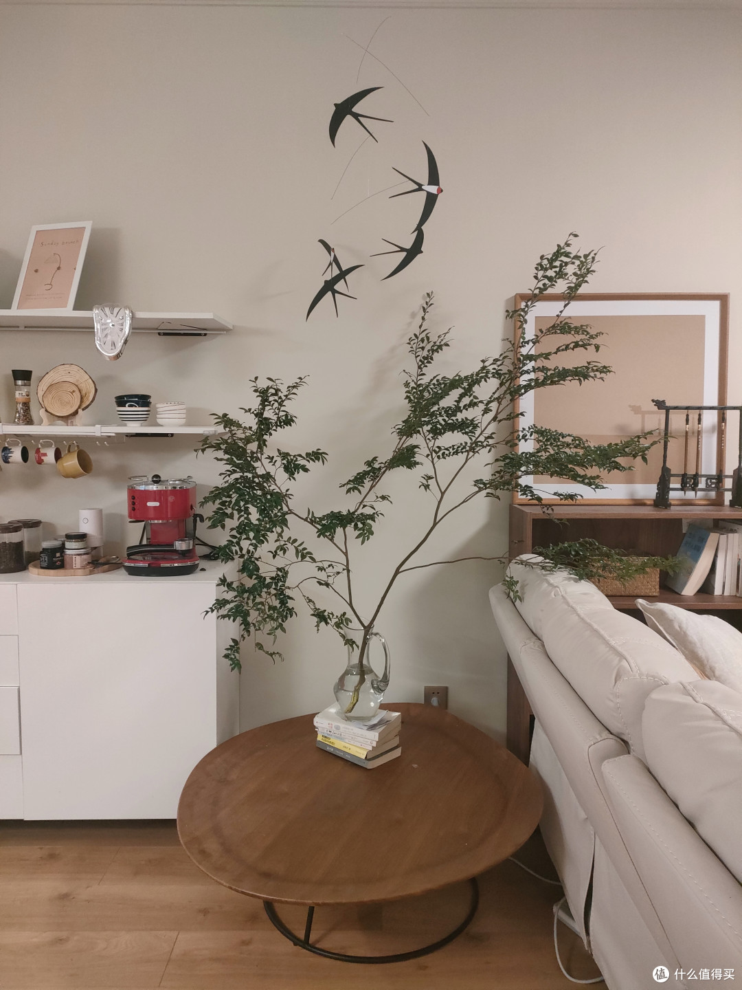 家里的网红绿植的马醉木吊钟真得绝了