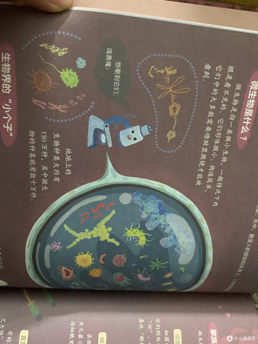 病毒、细菌,简单明了