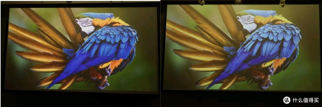 三色激光投影仪才是投影仪首选？Vidda C1S 4K 三色激光投影深度评测