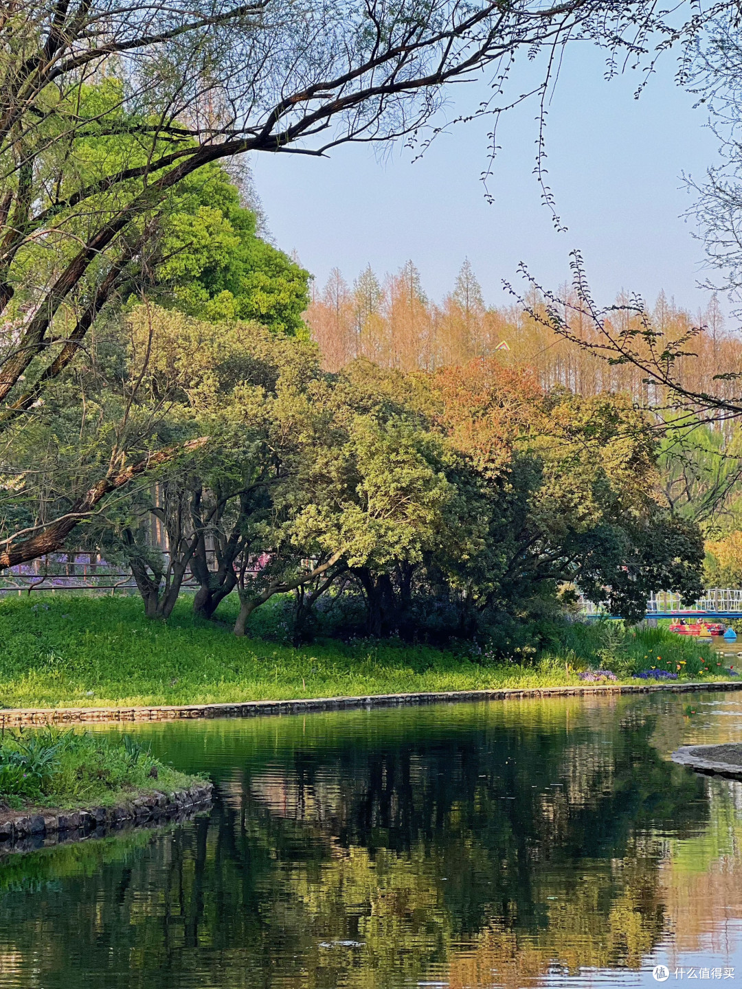 阳光明媚,踏青去吧~这片油画花海真的别错过!