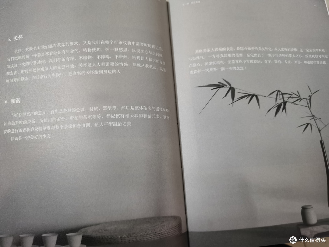 最喜欢看王琼老师泡茶