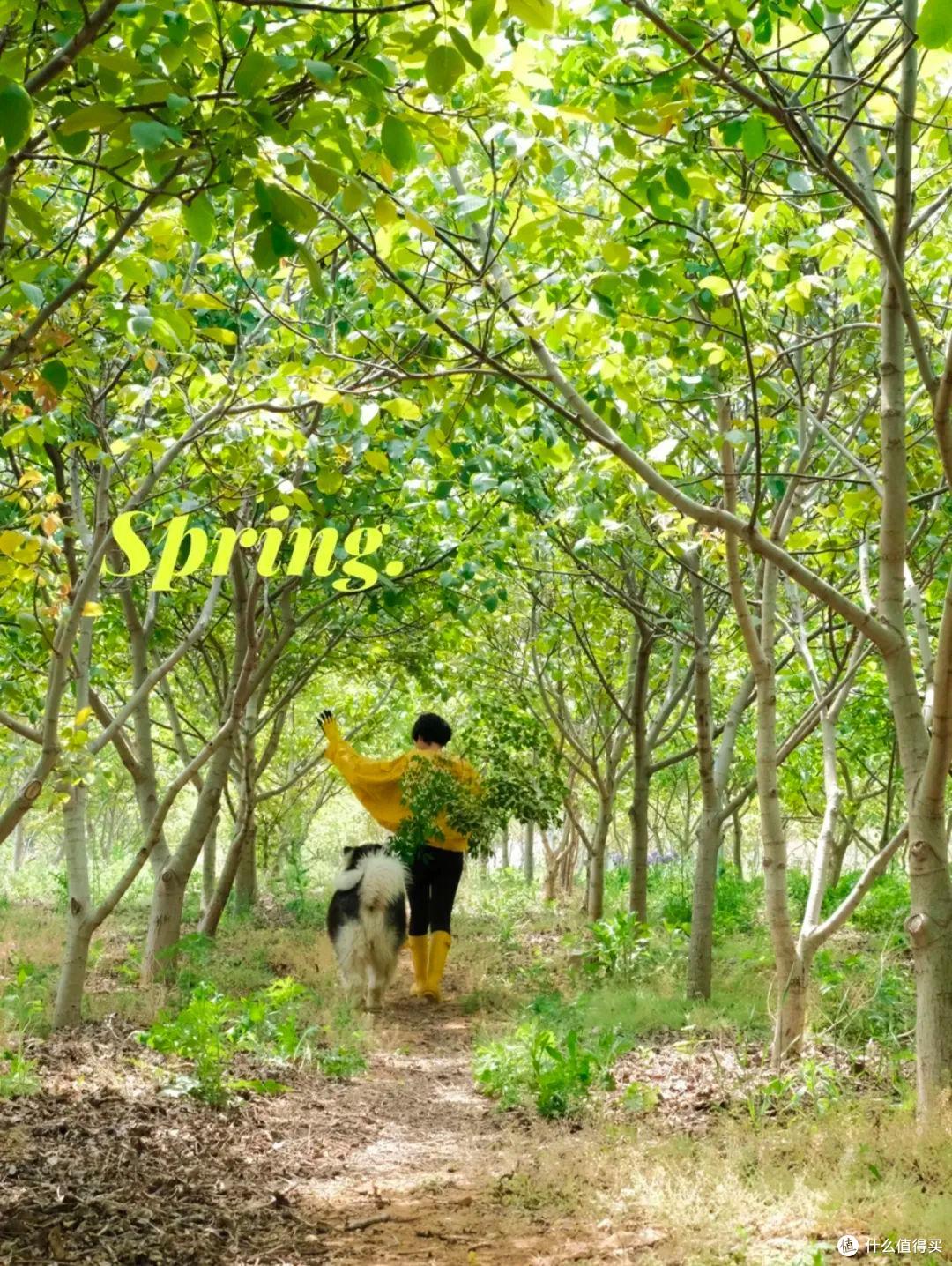 她患癌后跑到小岛上,花30万改造养鸡房,16年造出一个“桃花源”