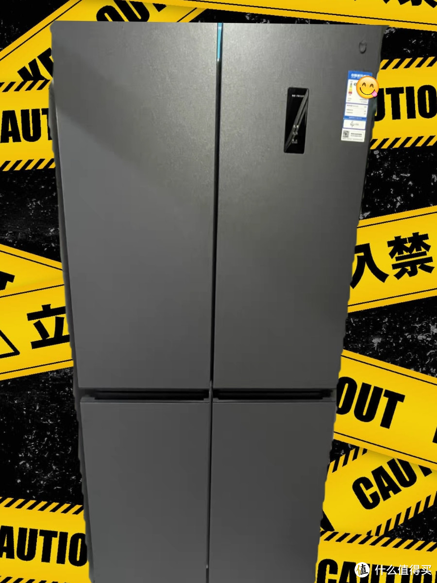 大家电冰箱怎么选？就一个字～大！