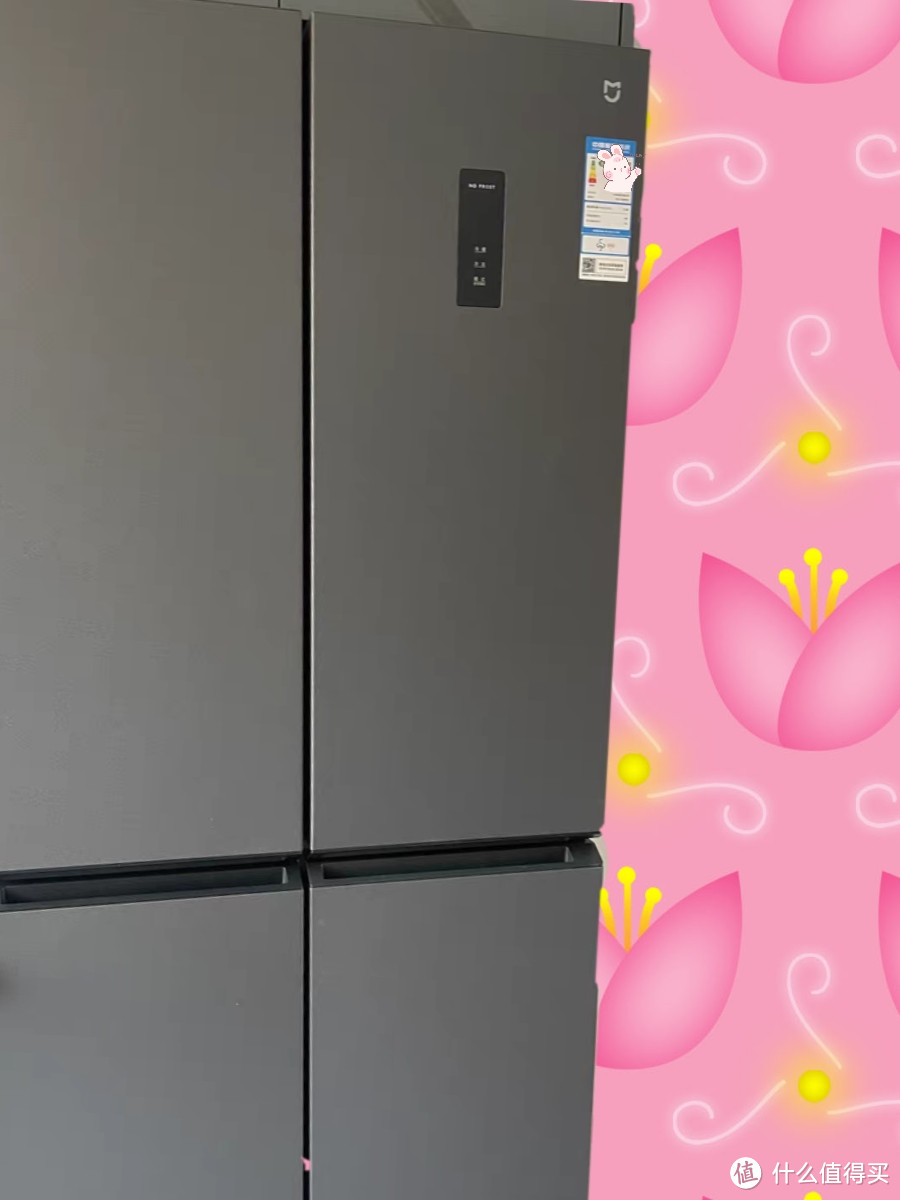 大家电冰箱怎么选？就一个字～大！