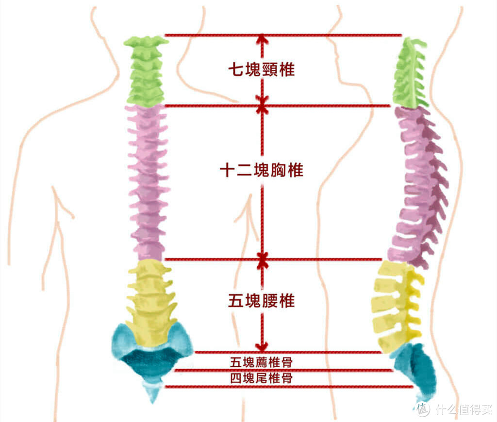 好床垫=私人复健，压缩性骨折十年康复心得