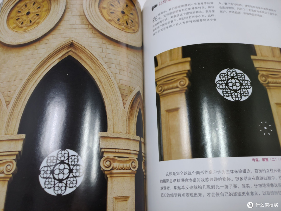分享一本书--- 《狗头拍牛片》,摄影必读!