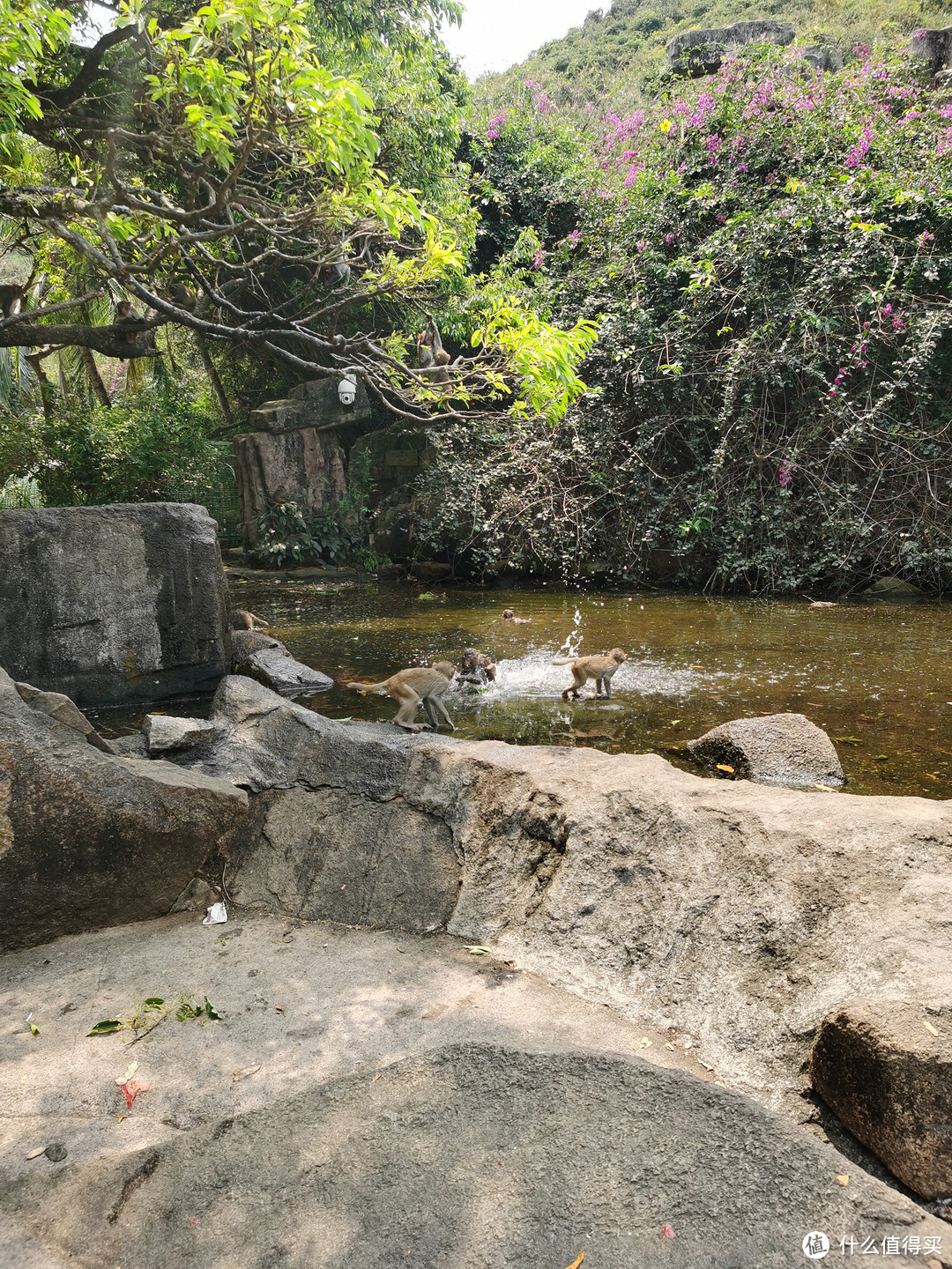 春日出游之去海南玩耍呀