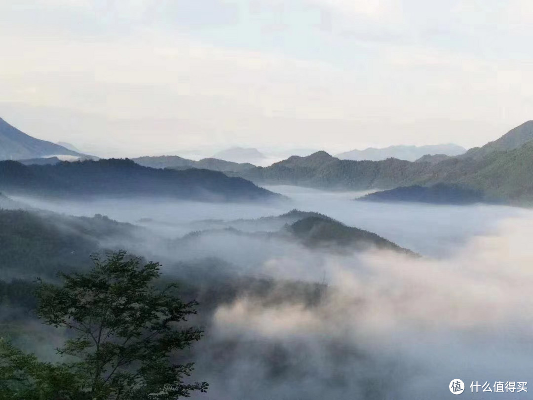 高山云雾