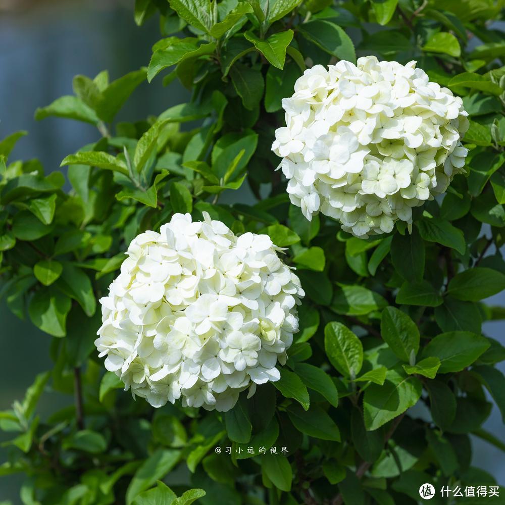 烟雨江南啊，趁天气好，桐庐小转了一圈