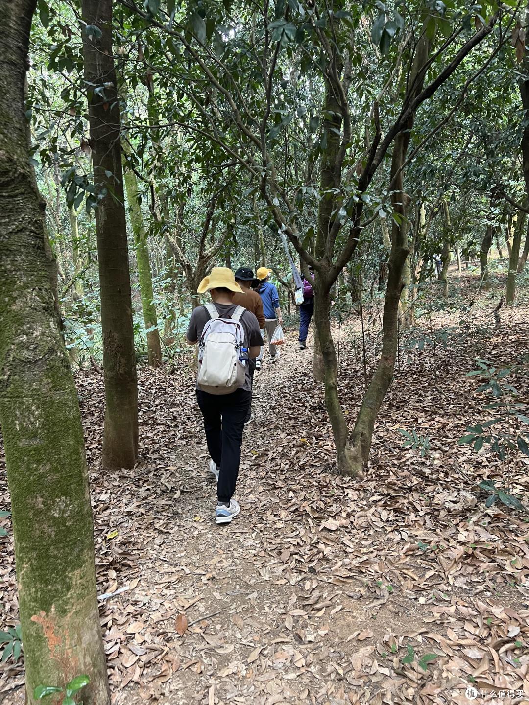 万千运动达人追捧的运动蓝牙耳机究竟怎么样？塞那A30S Pro评测
