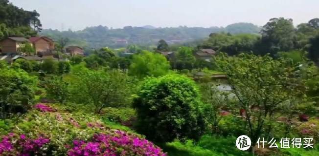 春游重庆歌乐山桃花谷，这里山花烂漫，田园景色，好似一处桃花源