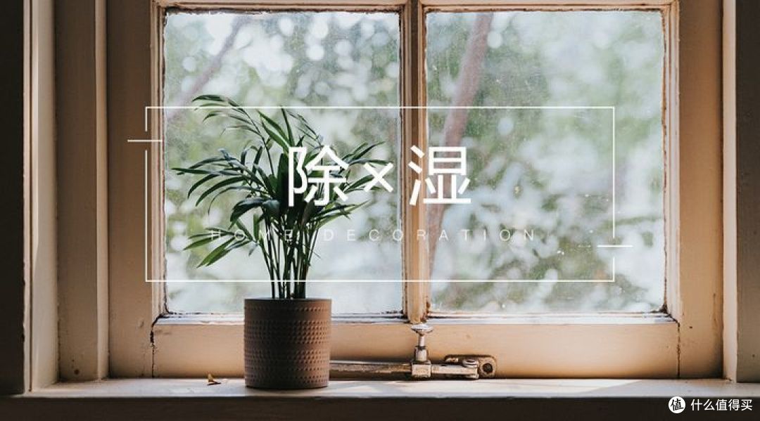 南方又将迎来回南天,家里总是湿漉漉的,有哪些除湿手段?