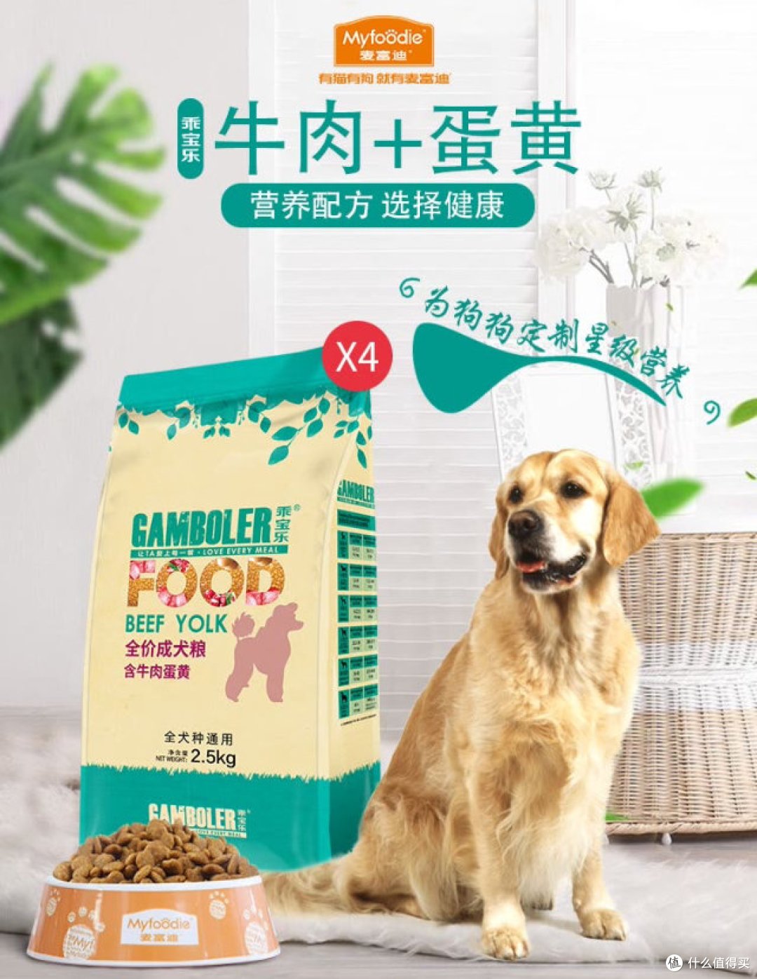 养狗家庭必备好物，首选麦富迪！