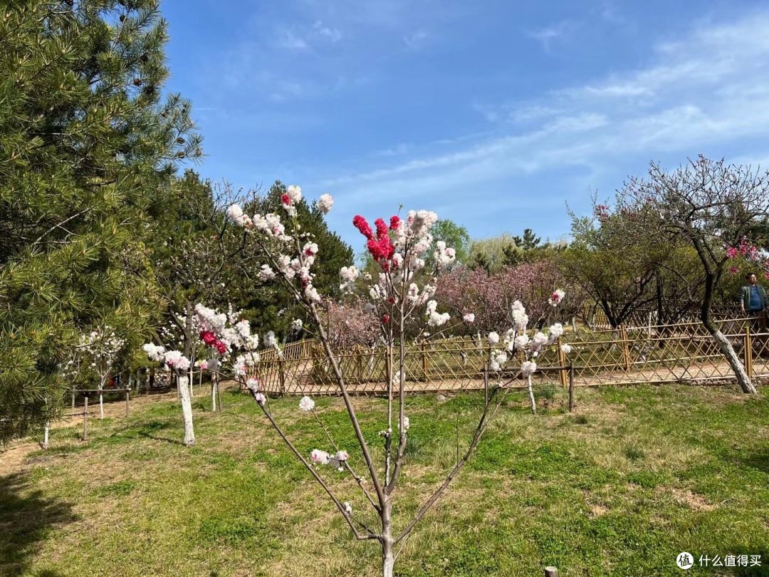 春天真是一个浪漫的季节
