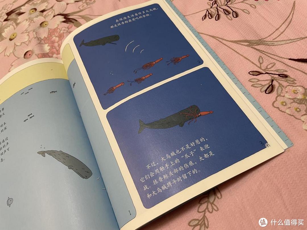 当鲸鱼搁浅后：一本温馨治愈的儿童绘本，不仅仅是故事