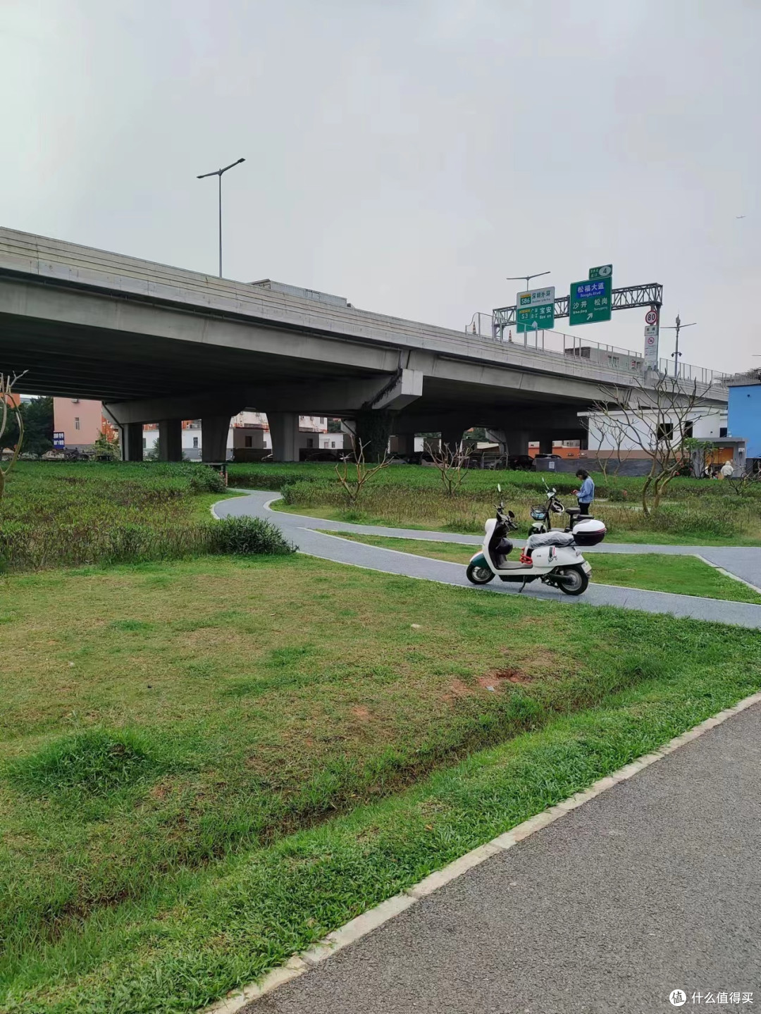 茅洲河湿地公园一角