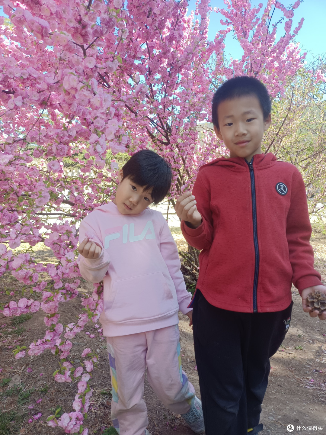 周末在国家植物园里春游