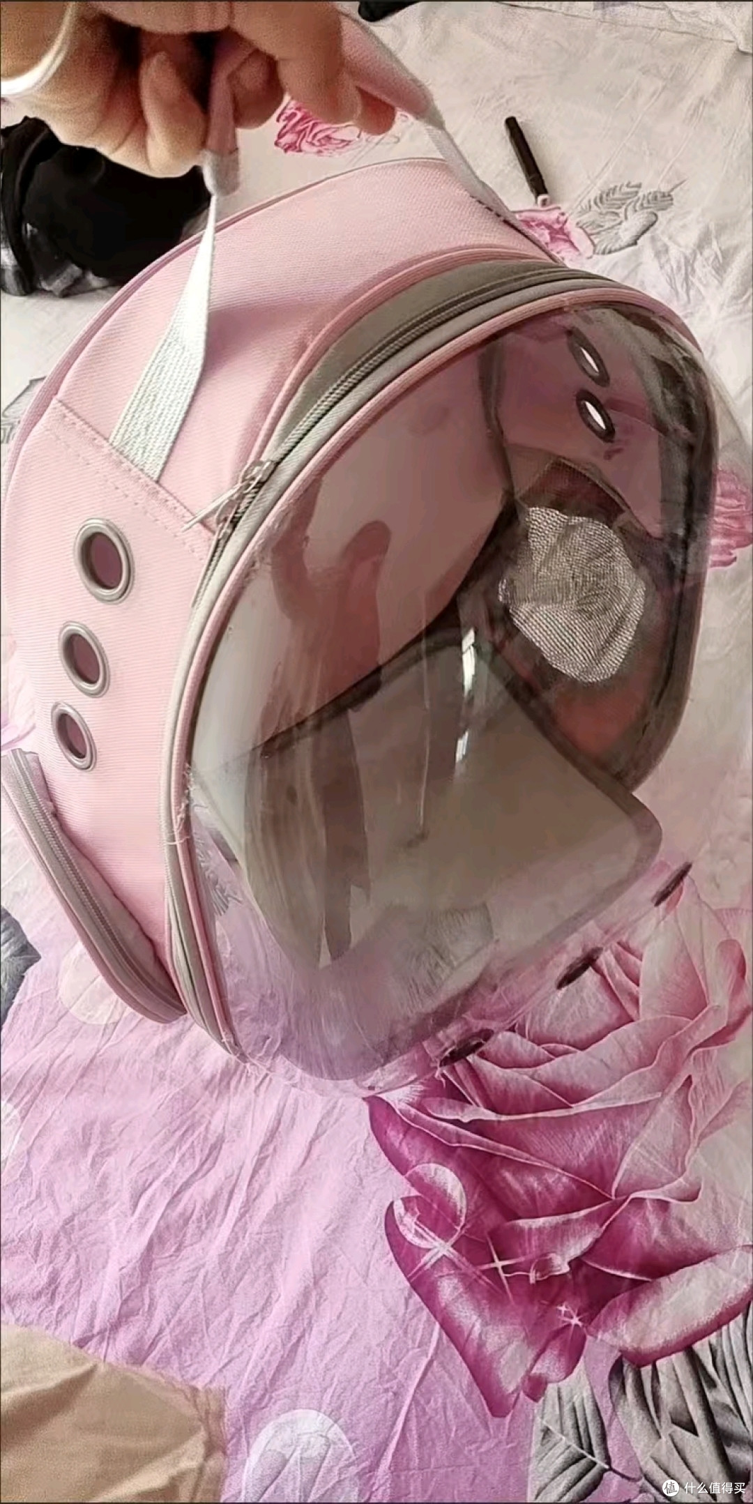 半透明的带宠物小背包