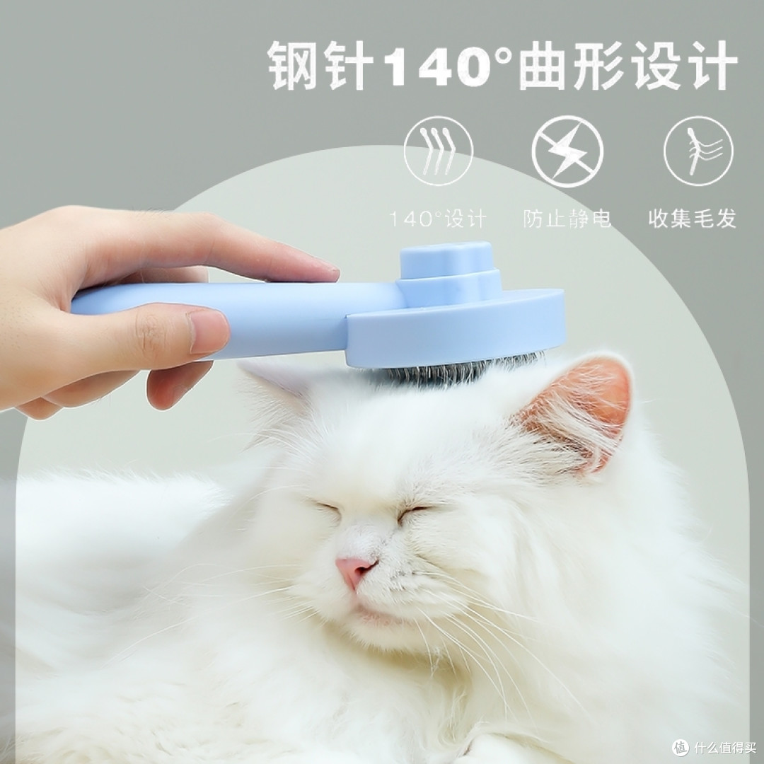 宠物日常护理好物推荐