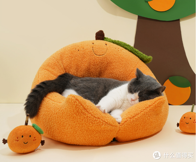 抱抱橘子宠物床暖呼呼的，喵喵玩的不亦乐乎，我都想做只猫了