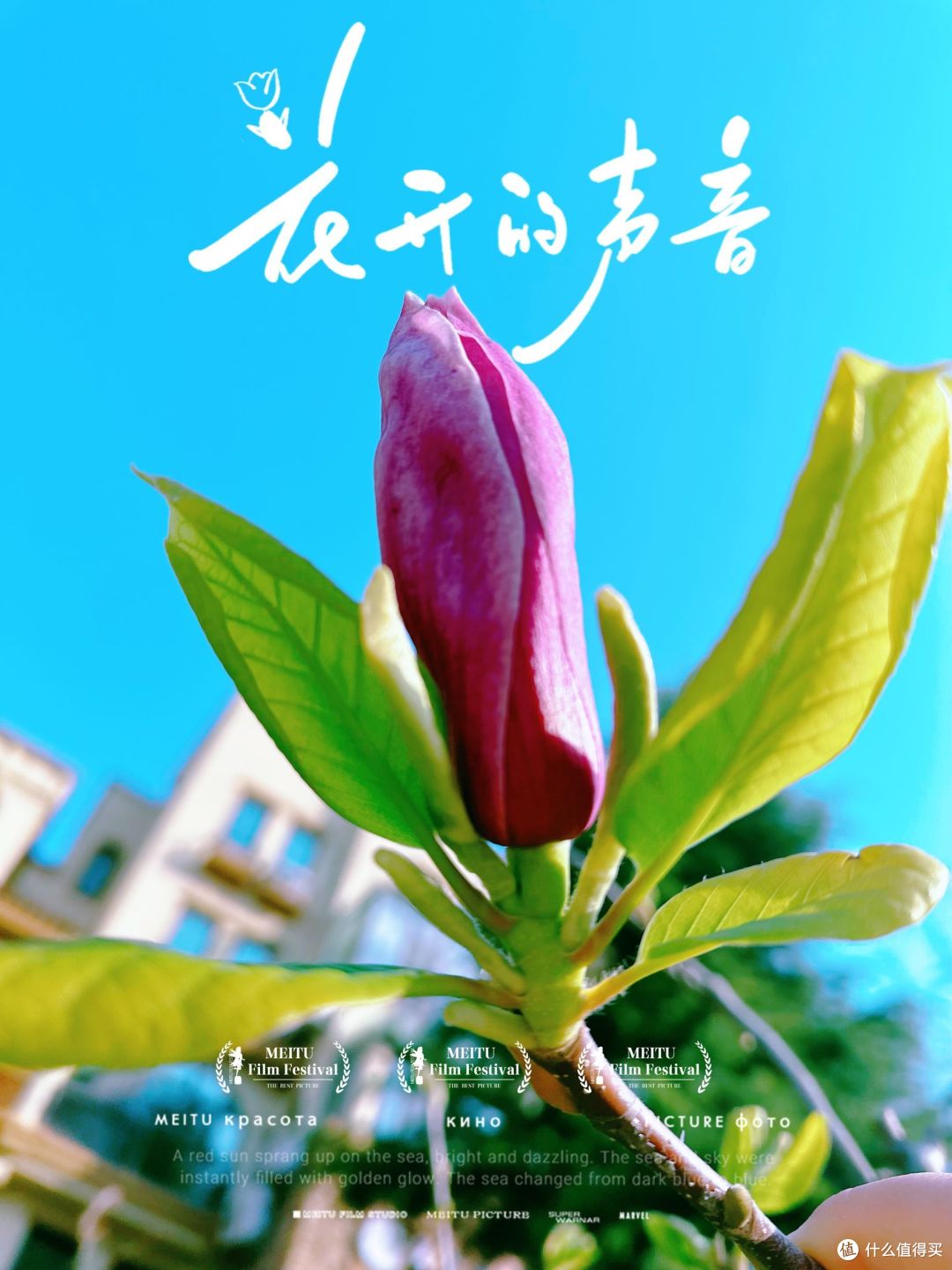 春日出游,只要走出去都是风景