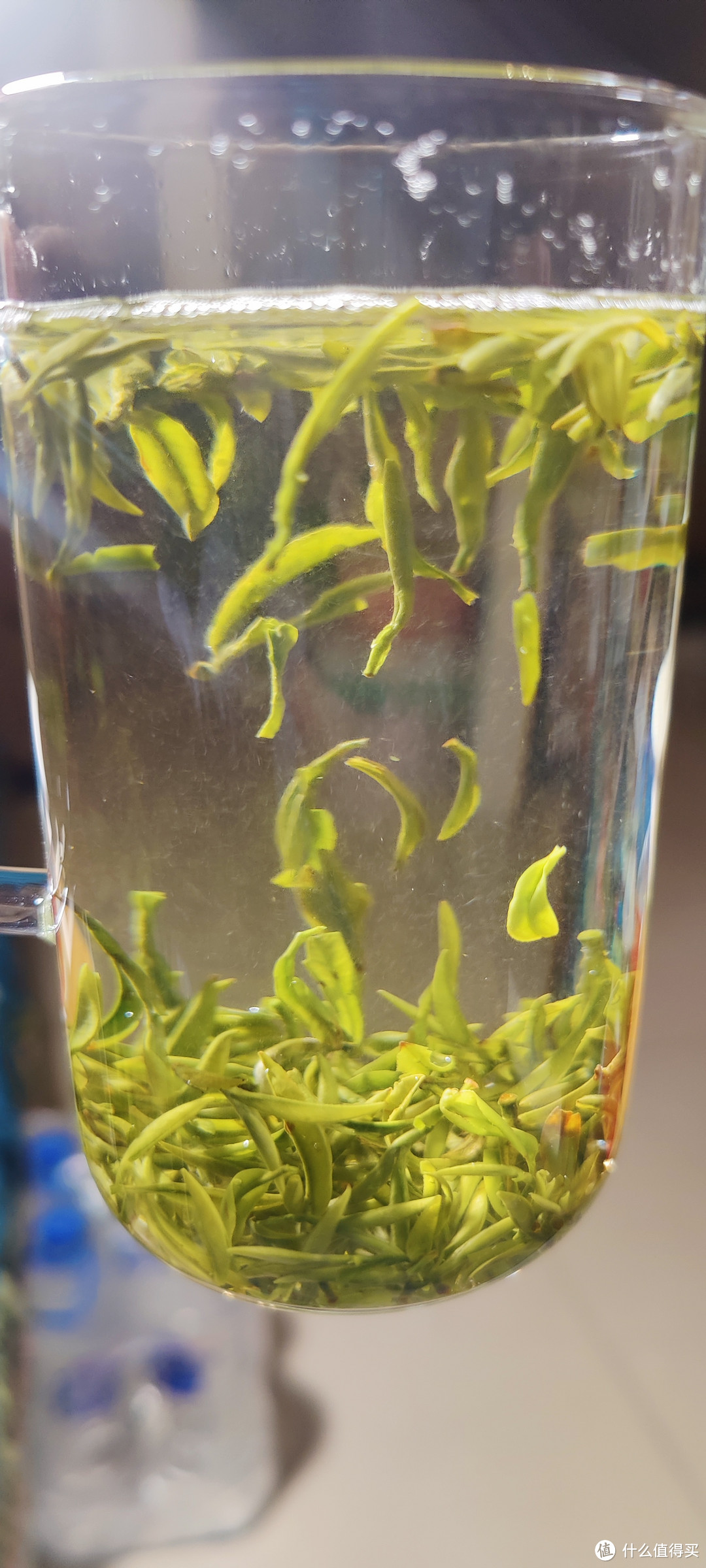 为了这个春天的绿茶，我专门买了一个高透玻璃杯，简直绝了