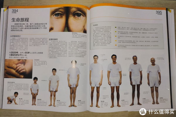 探索人体的奥秘——《DK人体大百科》_科普/百科_什么值得买
