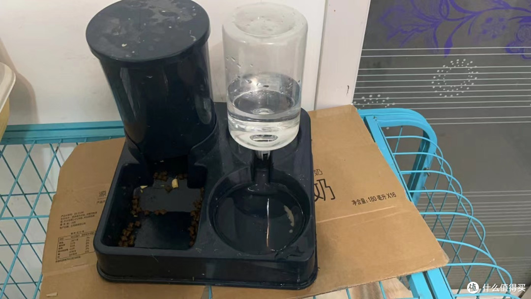 养猫好物,猫砂与投喂器