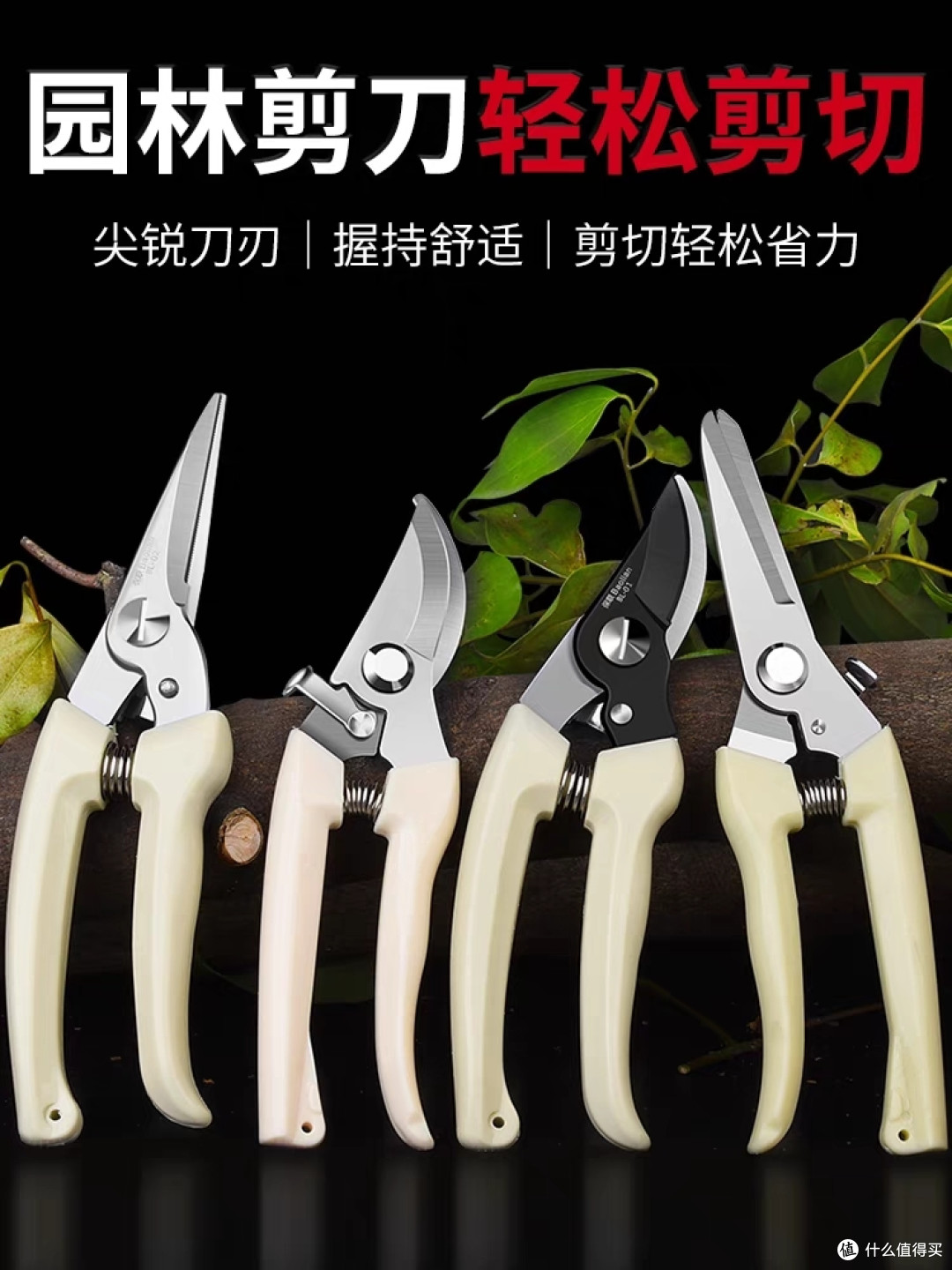植物养护小技巧之A计划