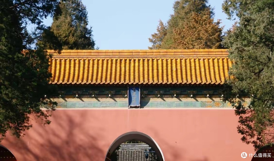 春日来南京钟山公园玩太美了