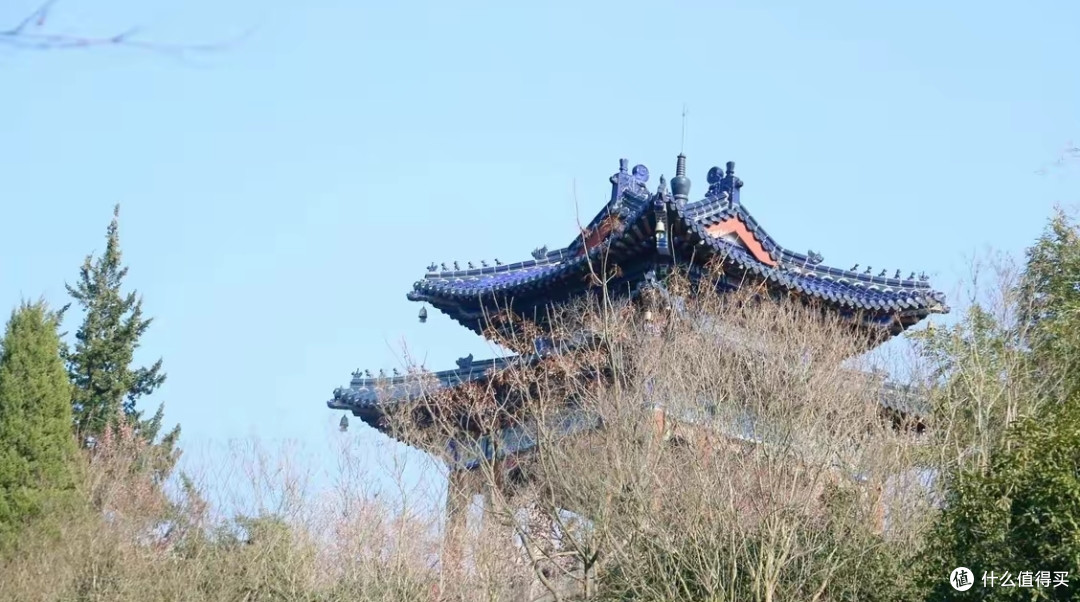 春日来南京钟山公园玩太美了